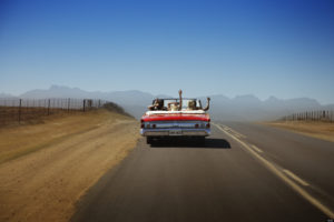 Useful tips for roadside trip