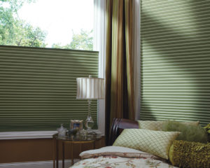 Energy Efficient Windows for Your Treatment