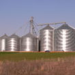 Knowing About Grain Storage