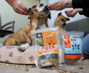 Bridging the Gap Between Veterinary Hospitals and Pet Owners