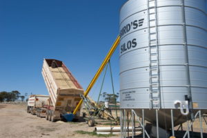 Proper Grain Storage Techniques