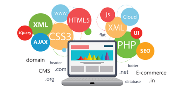Web Development Specialized Skills and Interacts With the Customer at All Stages