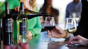 Wine Tour Packages Things to Consider