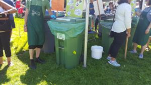 All You Need to Know About Green Waste and Its Disposal