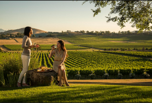 Winery Melbourne