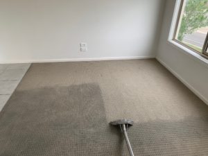 floor cleaning Hobert